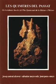 LES QUIMERES DEL PASSAT