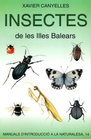 INSECTES DE LES ILLES BALEARS