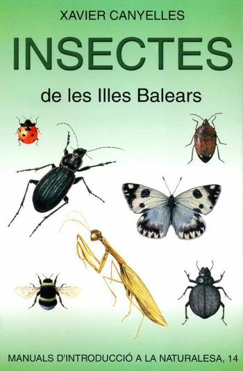 INSECTES DE LES ILLES BALEARS