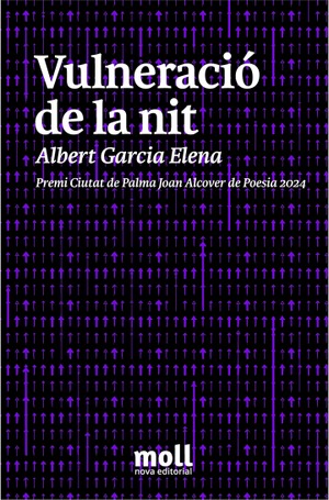 VULNERACIÓ DE LA NIT