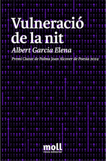 VULNERACIÓ DE LA NIT