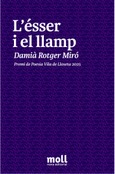 L'ÉSSER I EL LLAMP