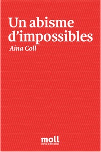 UN ABISME D'IMPOSSIBLES