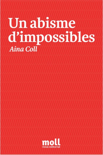 UN ABISME D'IMPOSSIBLES